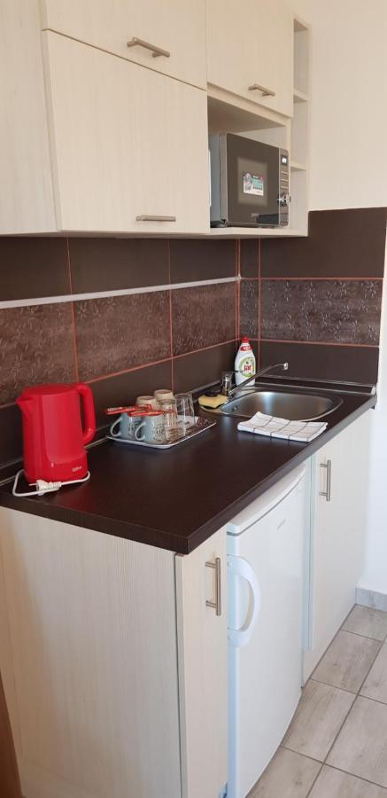 Rozsa Apartmanhaz Segedin Dış mekan fotoğraf